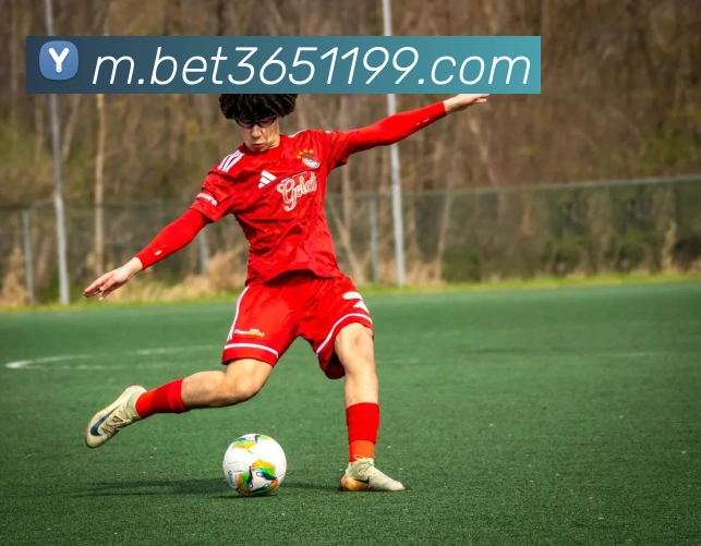 bet365中国官网服务体系